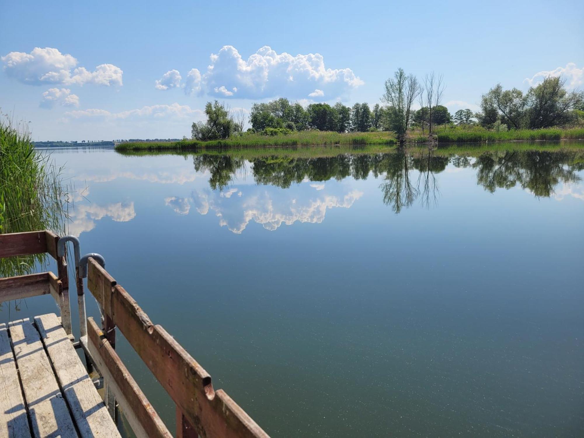 Nad Jeziorem Przy Lini Brzegowej Gorowychy, Pomorze