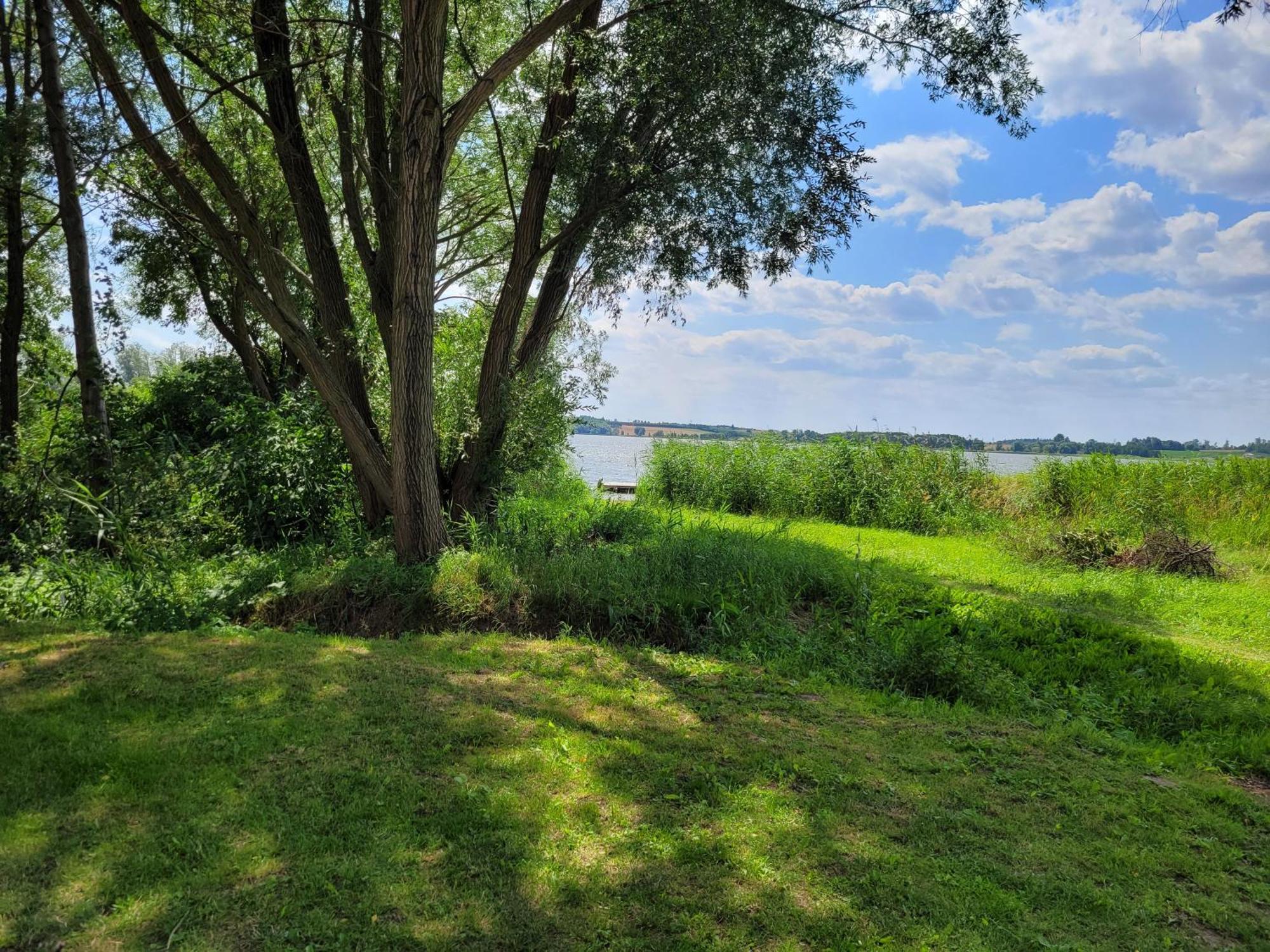 Nad Jeziorem Przy Lini Brzegowej Gorowychy, Pomorze Gorowychy